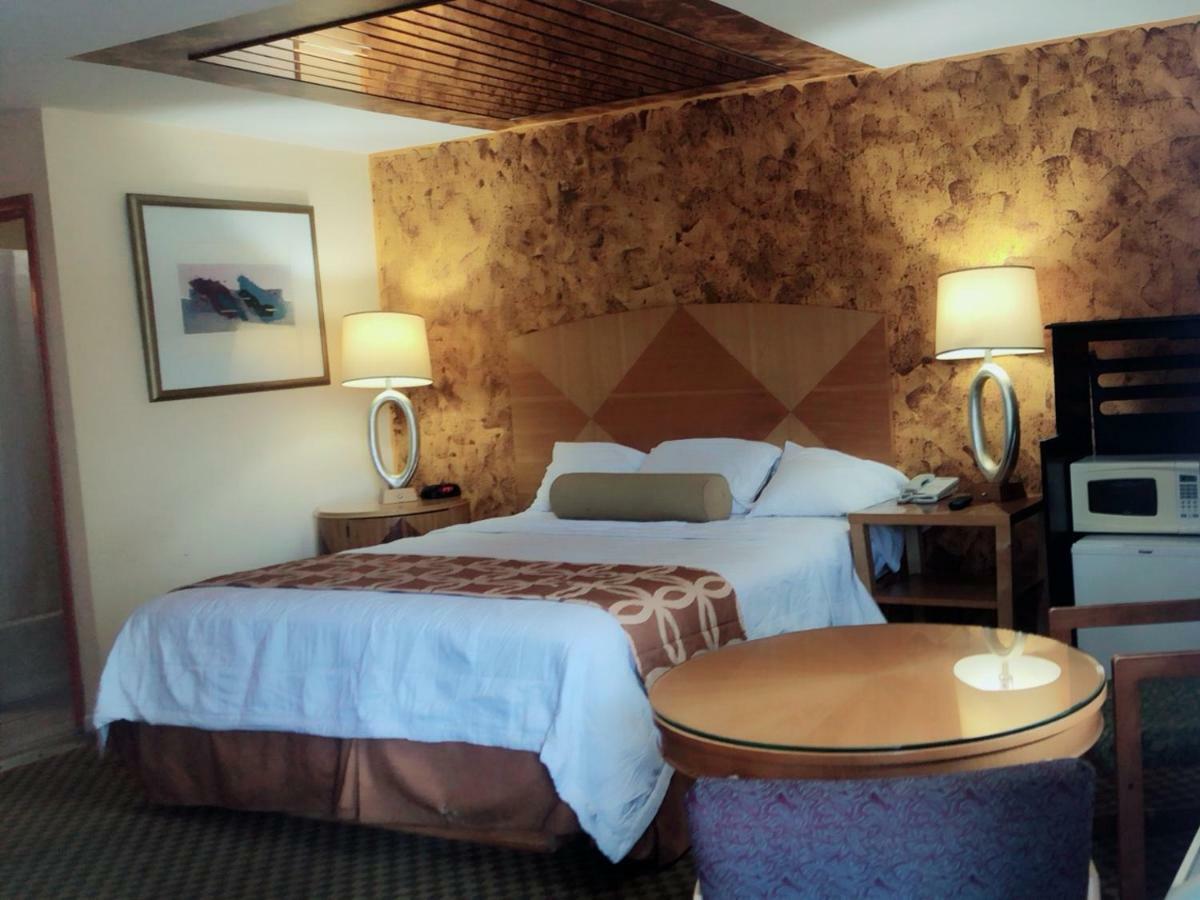 Sunflower Inn Galloway Extérieur photo